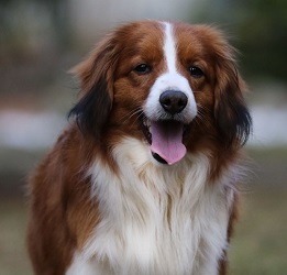 Riko-1 Jahr